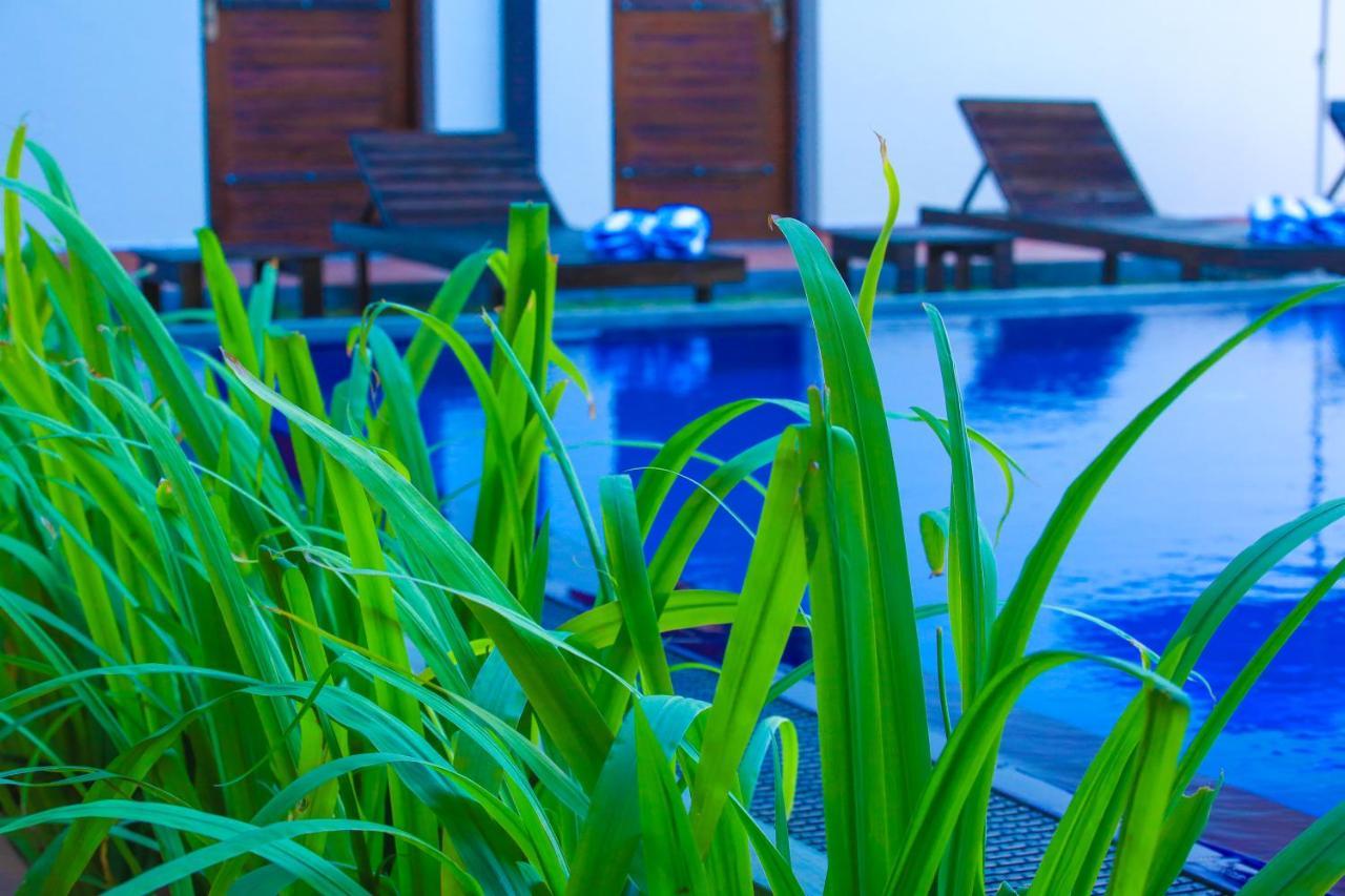 Ali Weta Safari Resort Udawalawe Luaran gambar