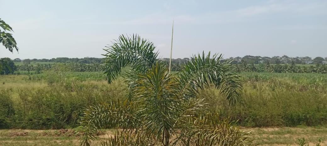 Ali Weta Safari Resort Udawalawe Luaran gambar
